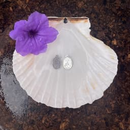 La médaille du rocher de la vierge 